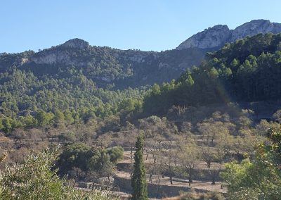Muntanyes Tivissa - Vandellos - vacances en espagne